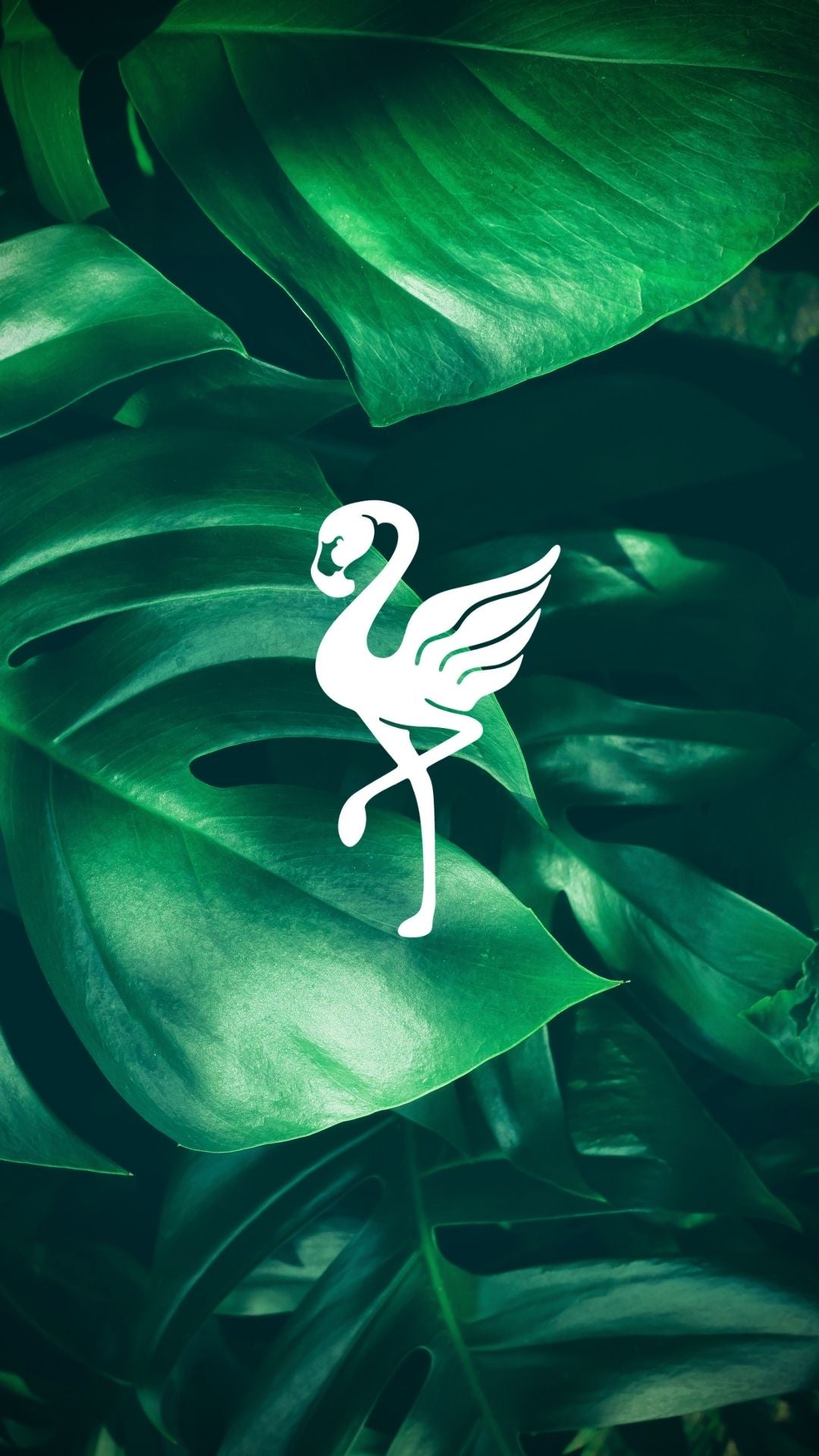 Foliage flamingo wallpaper