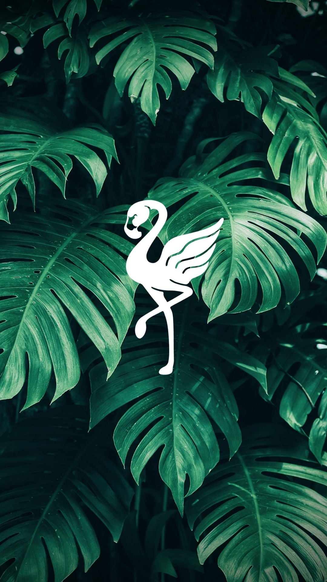 Foliage II flamingo wallpaper