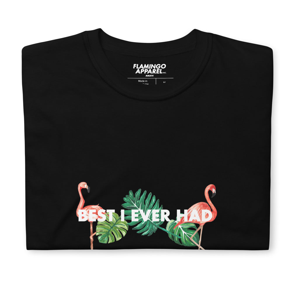 Best I Ever Had Adult Tee
