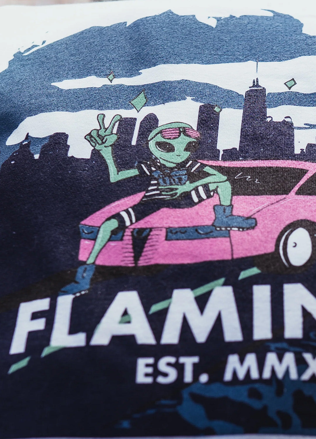 ALIEN AGE FLAMINGOS