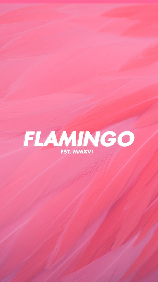 Flamingo plume wallpaper